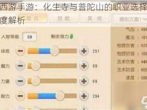 梦幻西游手游：化生寺与普陀山的职业选择推荐与深度解析