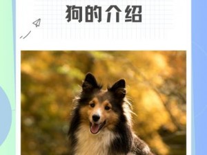 ZOOMSERVO 兽狗剧情：体验前所未有的刺激与激情