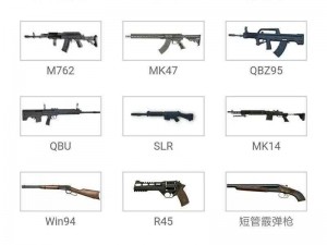 绝地求生刺激战场SCARL狂怒皮肤获取攻略：全面解析获取途径与实战应用技巧