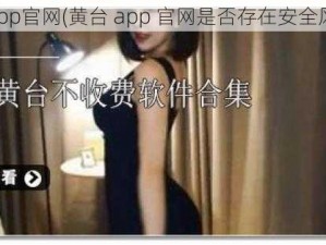 黄台app官网(黄台 app 官网是否存在安全风险？)