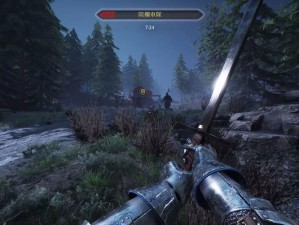 关于骑士战场决胜秘诀：Chivalry 2 弓箭手射箭位置的智慧选择与分享