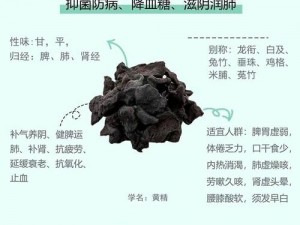 99国精产品灬源—99 国精产品灬源真的有那么好用吗？