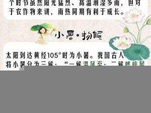 桃源深处人家欢庆小暑节气活动精彩纷呈介绍