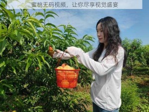 蜜桃无码视频，让你尽享视觉盛宴