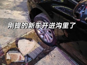 车子在颠簸中滑进了湿润的……