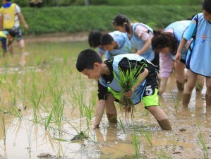 人 CZ000ZO0O 农场：趣味养成，体验农耕生活