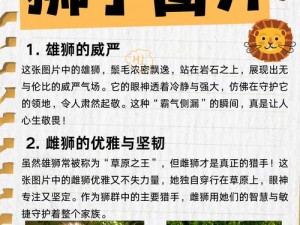 黑暗料理王欢天喜地吉祥狮获取攻略：揭秘吉祥狮子的独特获取方式与秘诀