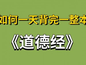 汉朝人生发展攻略揭秘：突破阶层限制，开启人才速成之旅，智慧赢取荣耀岁月