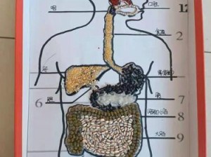 这门课程教你如何在生物繁殖课上用自己做例子进行产品介绍