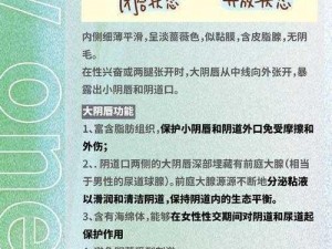 女人体内的精视频：一款提供女性健康知识和性教育的视频产品