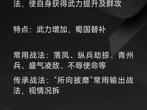 少年三国志2马超装备策略：剑术精通与攻防一体装备组合之道