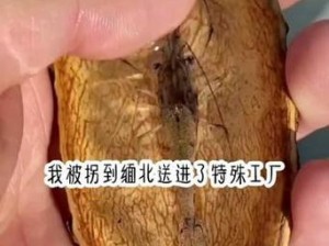 活体肉莲花是哪个部位-什么是活体肉莲花？它是人体的哪个部位？