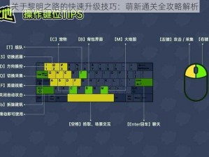 关于黎明之路的快速升级技巧：萌新通关全攻略解析