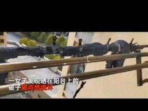 震惊女子阳台抽插时竟被对面男子偷看