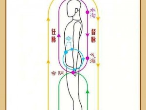 九阴真经武当经脉点法详解：打造最强修炼攻略，武当经脉修炼秘籍揭秘