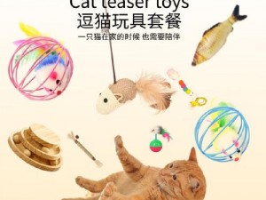 成人猫咪社区最新猫咪必火——打造独一无二的猫咪玩具