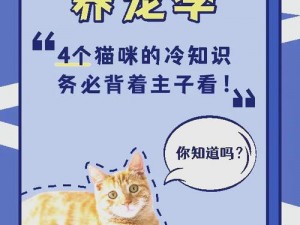 猫咪乐园里的秘密：汤内测奖励申领指南教你如何轻松获取丰厚大礼