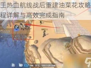 航海王热血航线战后重建油菜花攻略：重建流程详解与高效完成指南