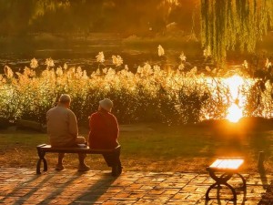 夕阳老人图片100张 夕阳无限好，只是近黄昏：沧桑岁月中的温情瞬间