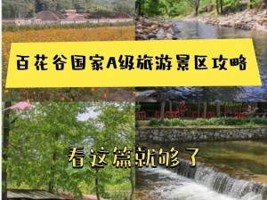 探索江湖秘境：百花谷树林导航路线揭秘