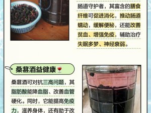 江湖秘酿：桑葚酒用途大全与制作材料详解