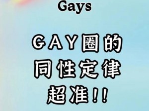 男同Gay 网站 2023——打造专属的同志社交圈