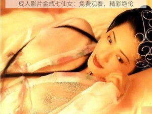 成人影片金瓶七仙女：免费观看，精彩绝伦