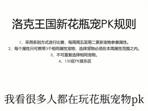 关于洛克王国记忆瓶的制作方法及技巧解析