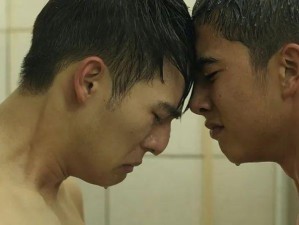 国产男男 GAY 片，带来不一样的视觉体验