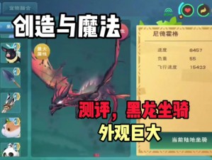 关于创造与魔法：黑龙尼德霍格之翼的奇幻坐骑之旅