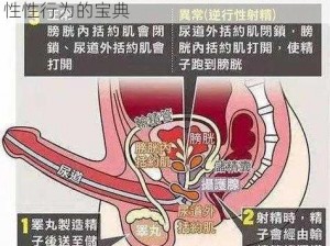 日本体内无码射精汇编：专业研究日本男性性行为的宝典