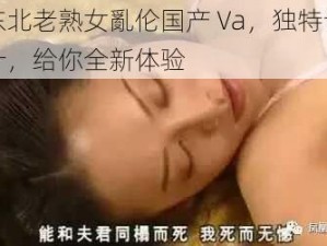 东北老熟女亂伦国产 Va，独特设计，给你全新体验