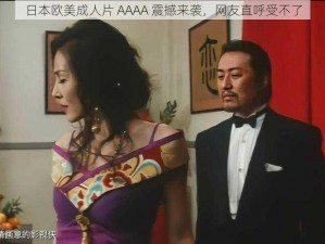 日本欧美成人片 AAAA 震撼来袭，网友直呼受不了