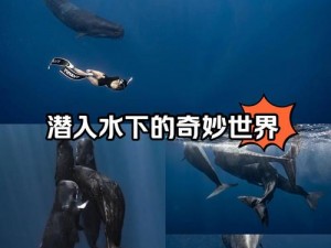 探索未知海域：无敌大航海PVP掠夺系统深度解析与技巧指南