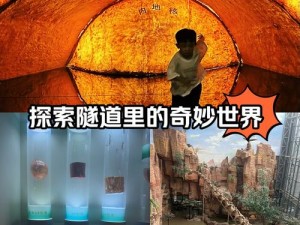 天外世界幽默梗探秘：解锁彩蛋与未知宇宙乐趣之旅