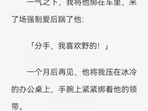 好看的bl小说h、强攻强受糙汉文：高冷糙汉和他的傲娇美人