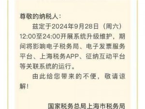 街头篮球游戏11月17日全面停机维护通知公告：关于服务器维护与升级的重要通知