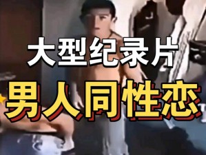 CHINESE 国产男男 GAY 片：演绎真实男同性恋爱情故事