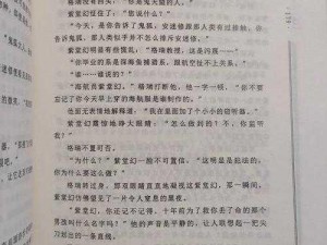 寒冬战役中的宝藏打捞：凛冬王冠的作战档案揭秘