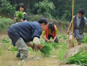 夫妻之间的 108 种插秧法图片，提升夫妻生活质量的秘籍