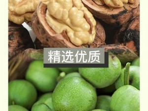 免费成人吃瓜，绿色健康，无添加剂，口感鲜美，让你欲罢不能