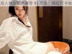 成人熟女国产麻豆 91 京东：网红打卡地