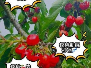 96 国产精品欲 AV 屁股樱桃，富含多种营养成分，口感鲜美，是您健康生活的好选择