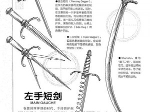 代号某某某剑招宝典：入门技巧与隐藏剑法解析