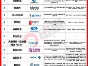 国产高精度adc芯片公司;哪个国产高精度 adc 芯片公司在市场上的认可度较高？