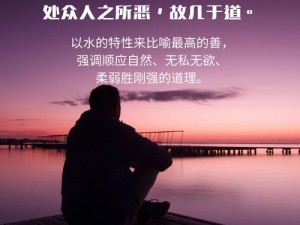 优质翻译，尽在久久成熟德兴若自然矣翻译