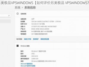 另类极品VPSWINDOWS【如何评价另类极品 VPSWINDOWS？】