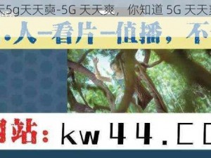 5g天天5g天天奭-5G 天天爽，你知道 5G 天天爽是什么吗？