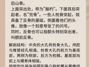 相传脑后长有反骨的传奇人物揭秘：三国如龙传每日求学答案大全