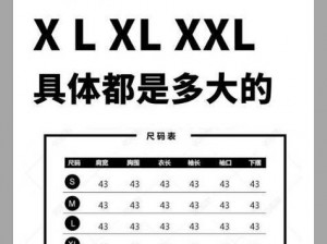 日本 XXL 码国内相当于多大？时尚达人必备秘籍